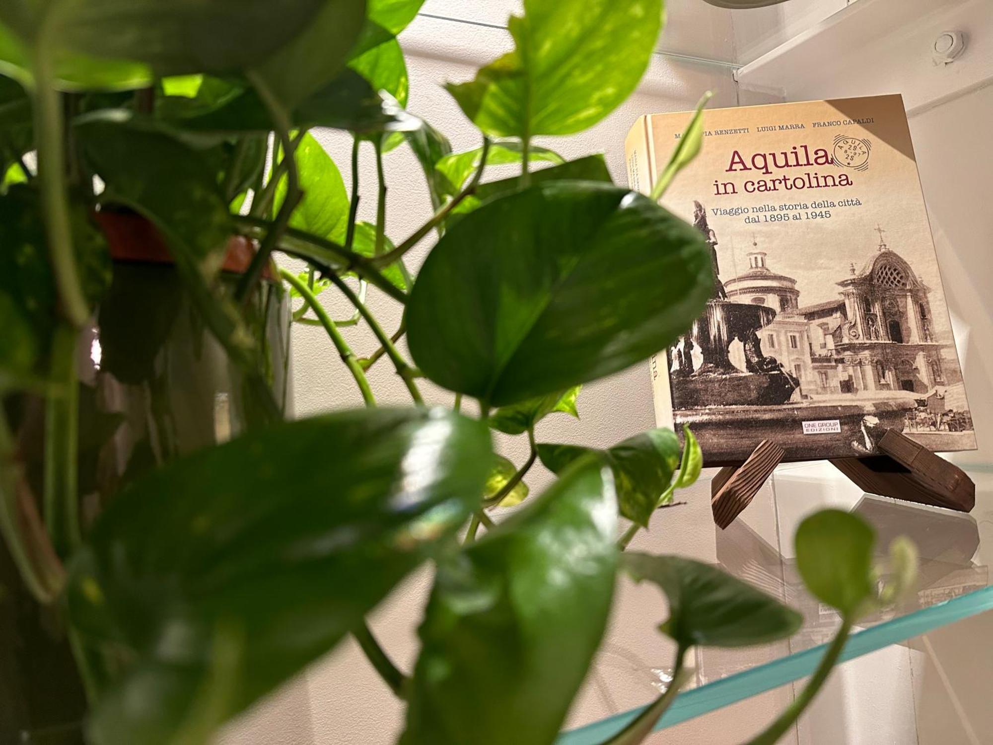 Domus Merulae B&B L'Aquila Ngoại thất bức ảnh